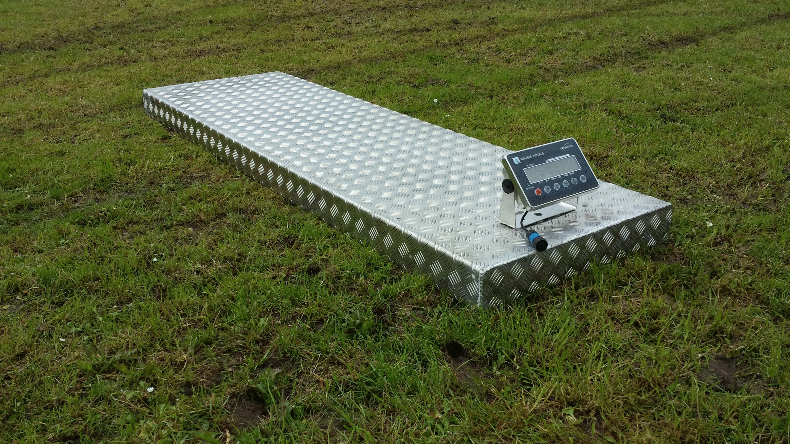 Cattle Weighing Scales Platform