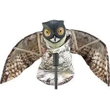 Prowler Owl