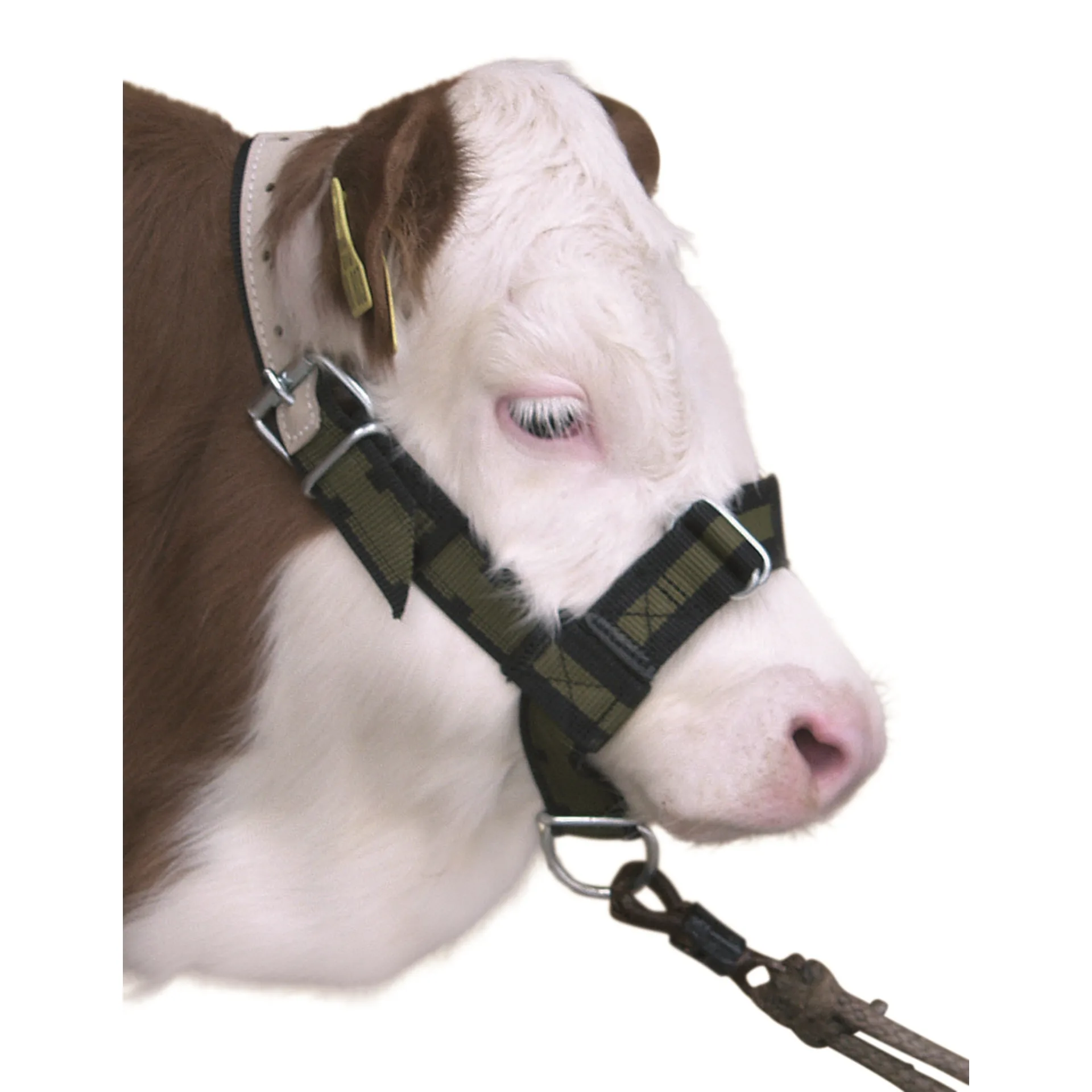 Cattle halters