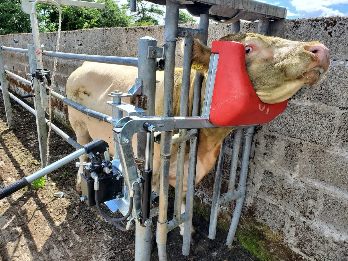 Head Scoop Hydraulic