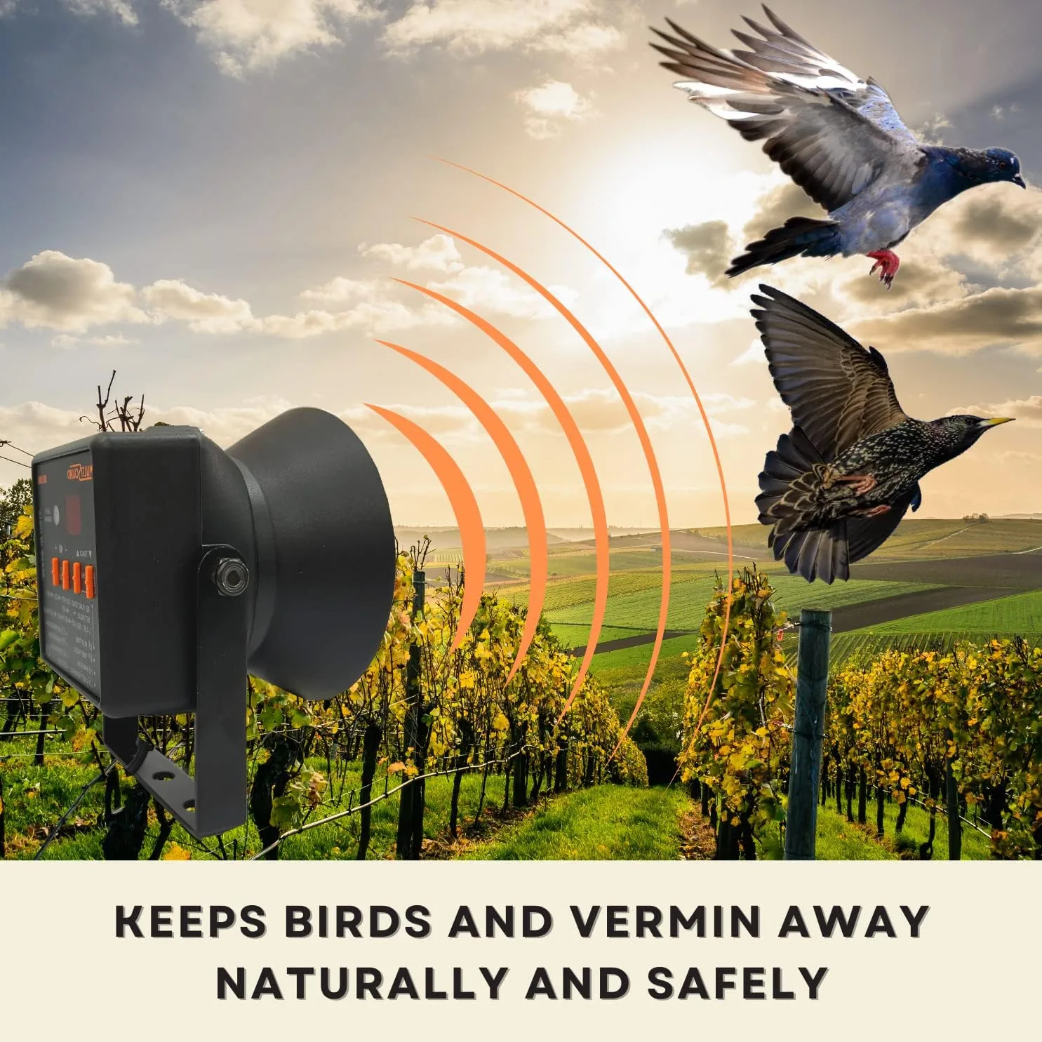 Noise to Scare Birds Away