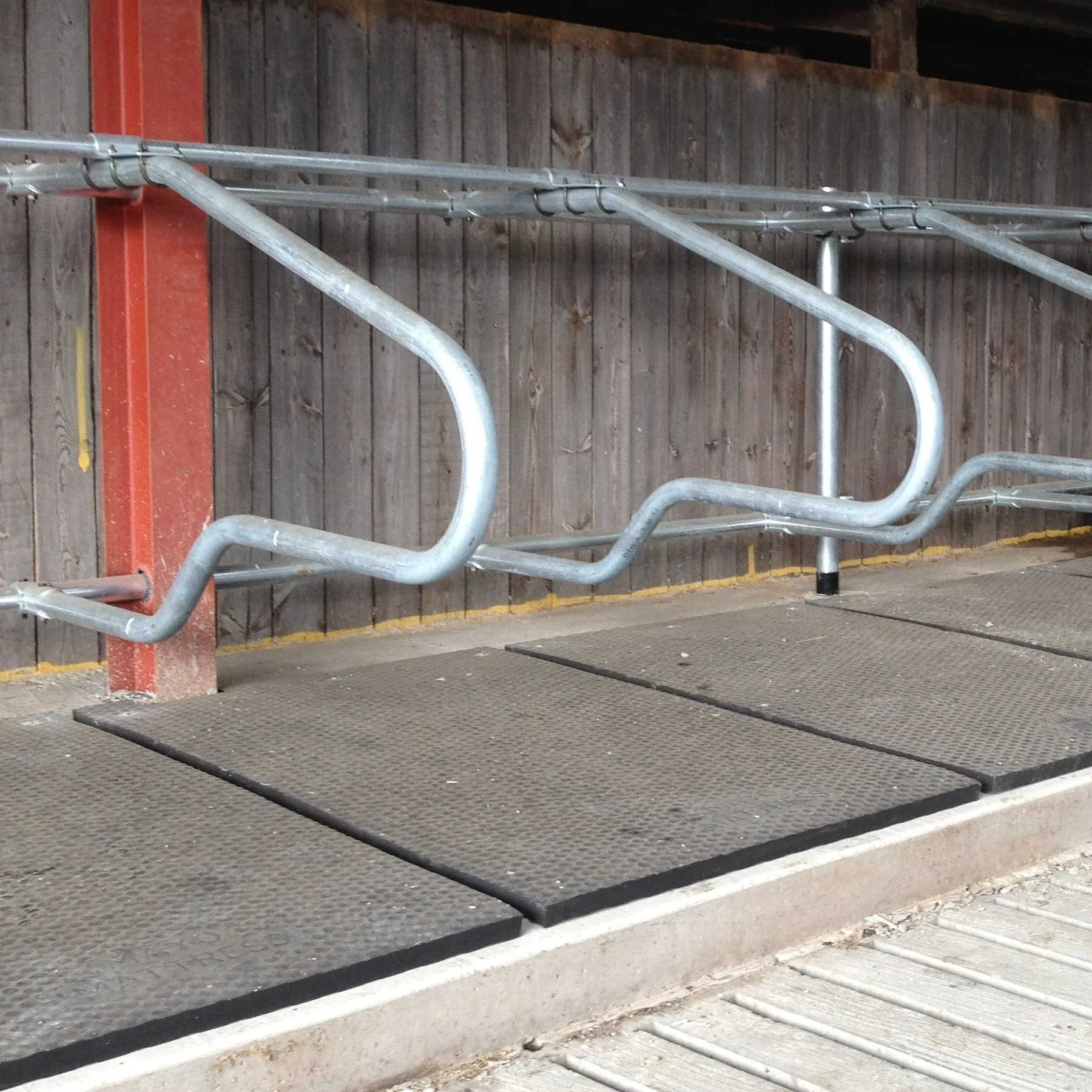 Cow Mats - Image 3
