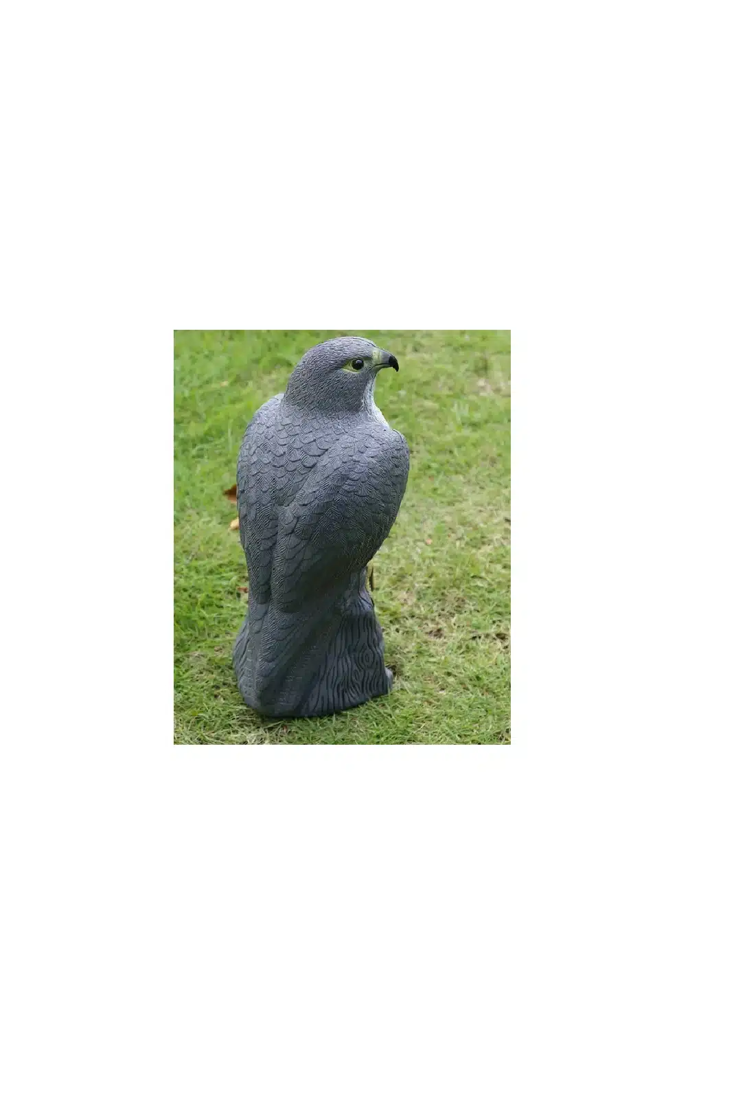 Eagle Decoy Bird Deterrent